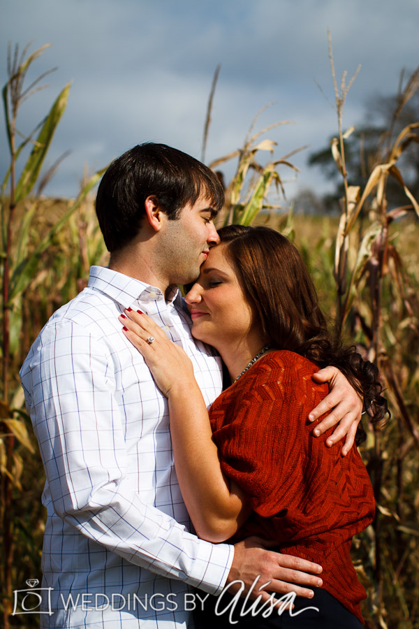 pittsburgh wedding engagement photographer-9870